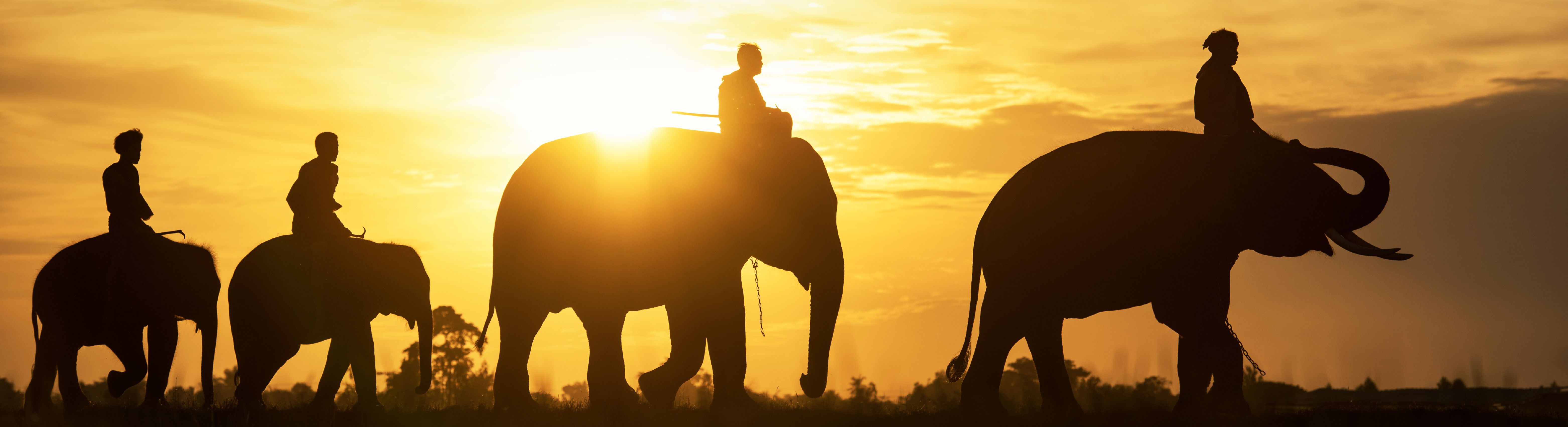 hilight จังหวัด 2